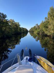 Dismal Swamp: Despite its name, the dismal swamp canal (opened in 1805) is very pleasant; quiet and beautiful